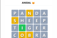 Anidal
